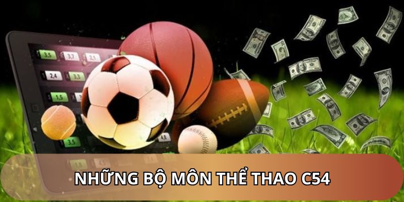 Những bộ môn thi đấu nổi bật tại sảnh thể thao C54