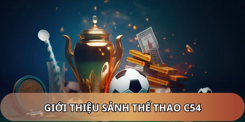 Giới thiệu sảnh thể thao C54