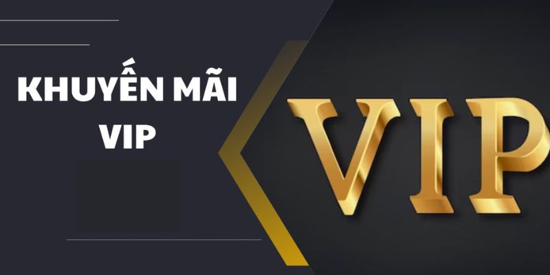 Vài nét về sự kiện nâng cấp VIP C54